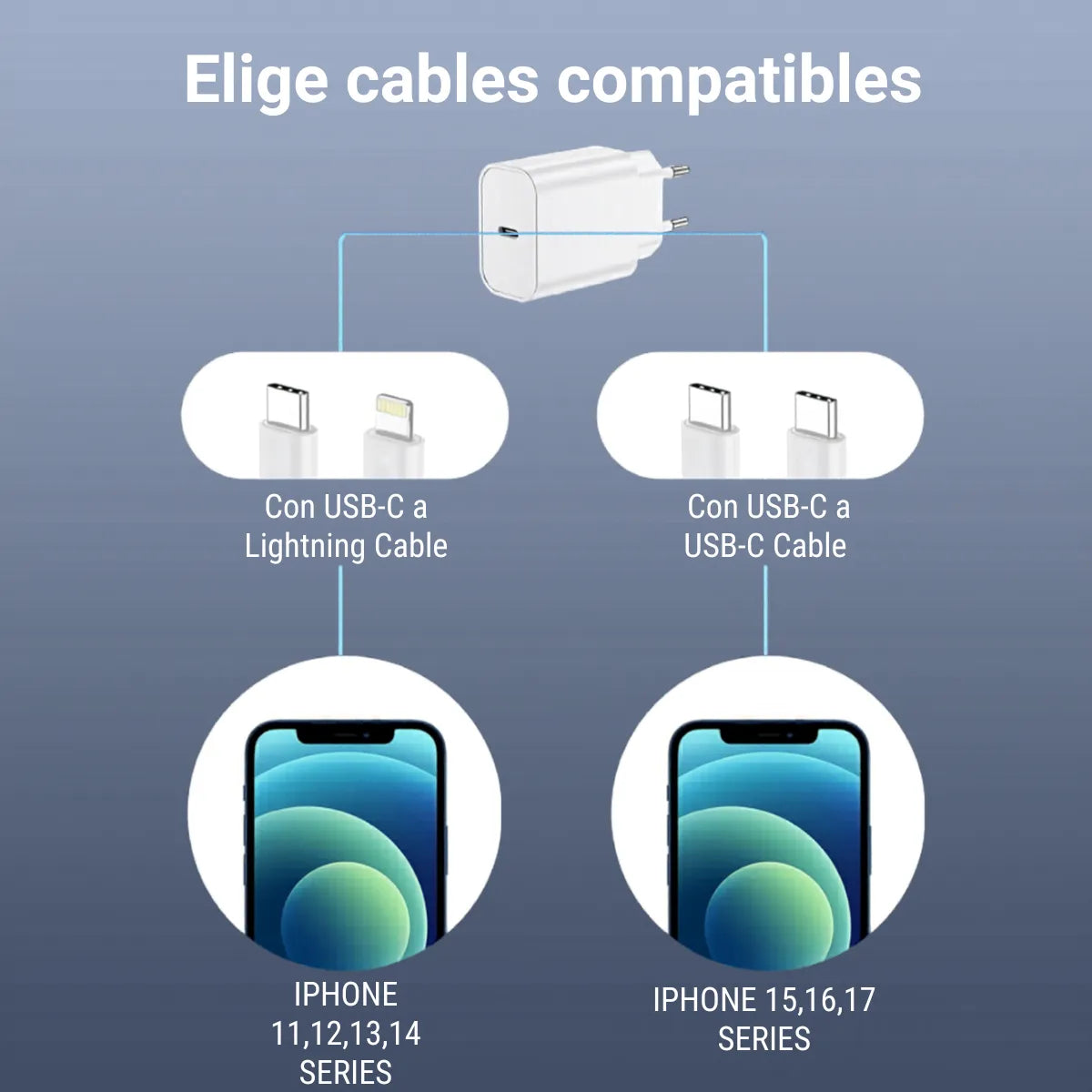 Cargador IPhone 20w / Tipo C con cable